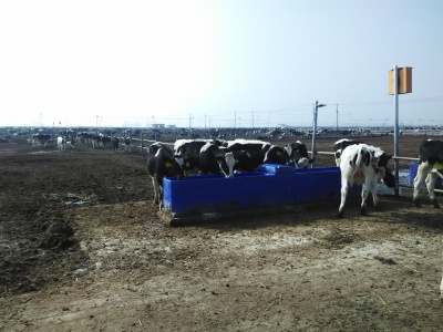 Автоматическая поилка TPT401K без крышки