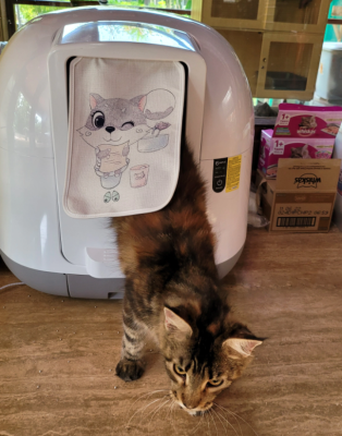 Автоматический лоток для кошек KL-5