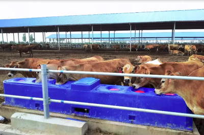 Автоматическая поилка TPT401G шаровая